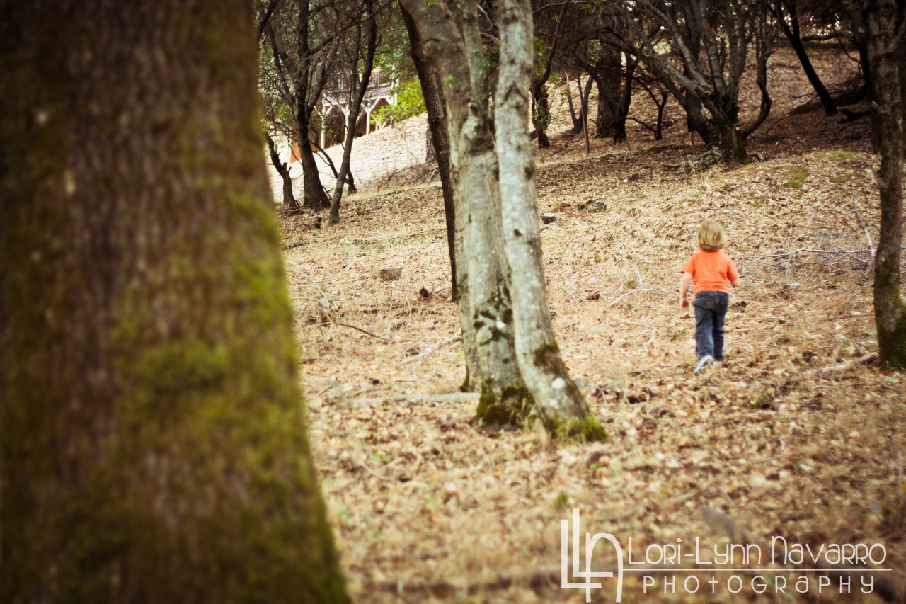 Walk in the Woods Watermarked (78 of 129)