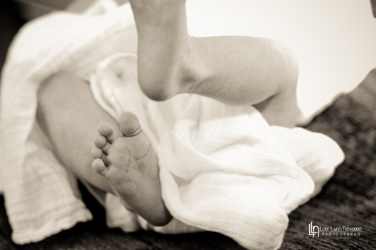 Fortine Watermarked (10 of 1)