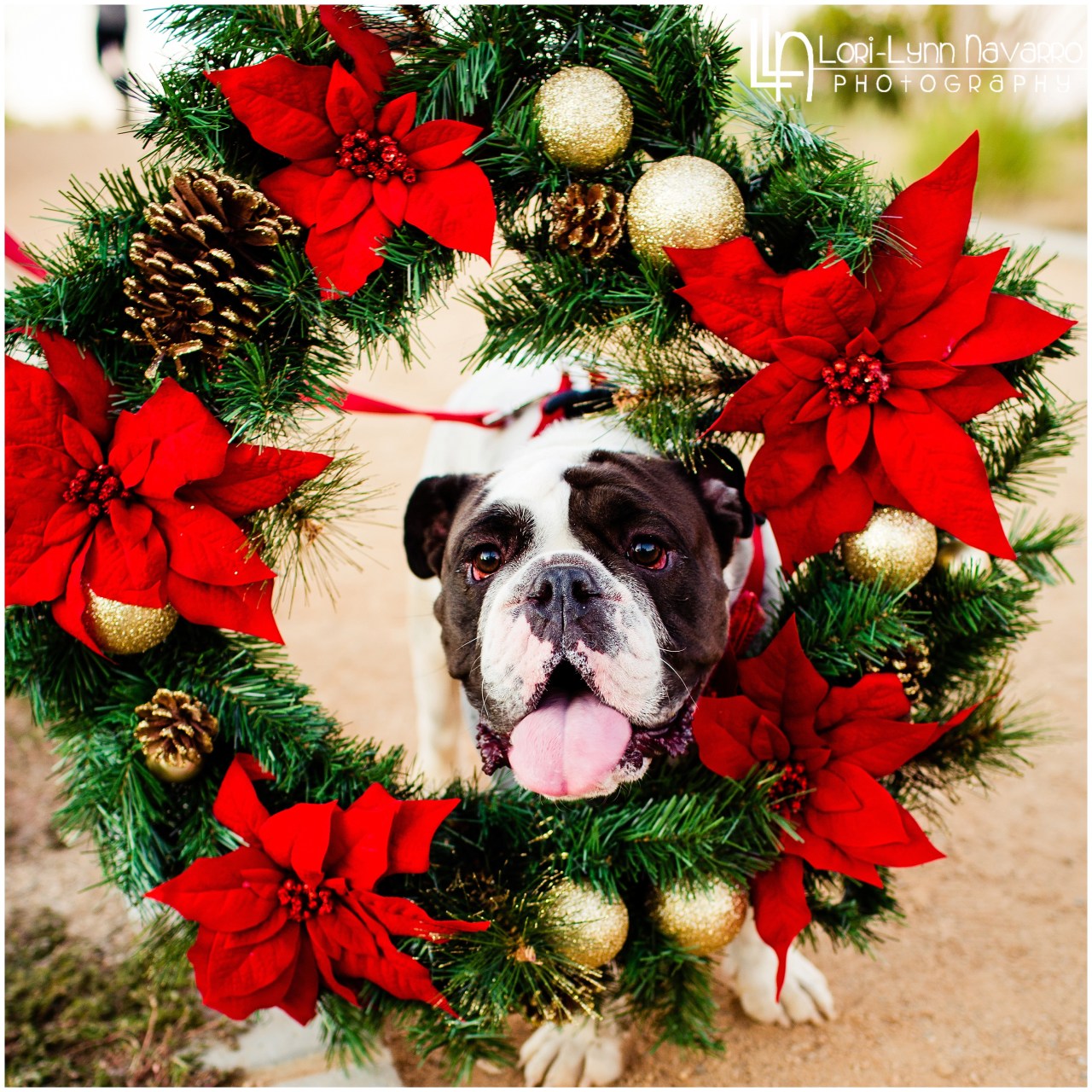 LORILYNNNAVARRO.COM_0036