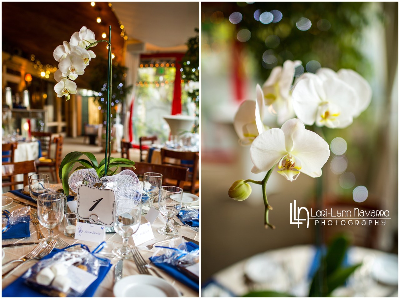 LORILYNNNAVARRO.COM_0461