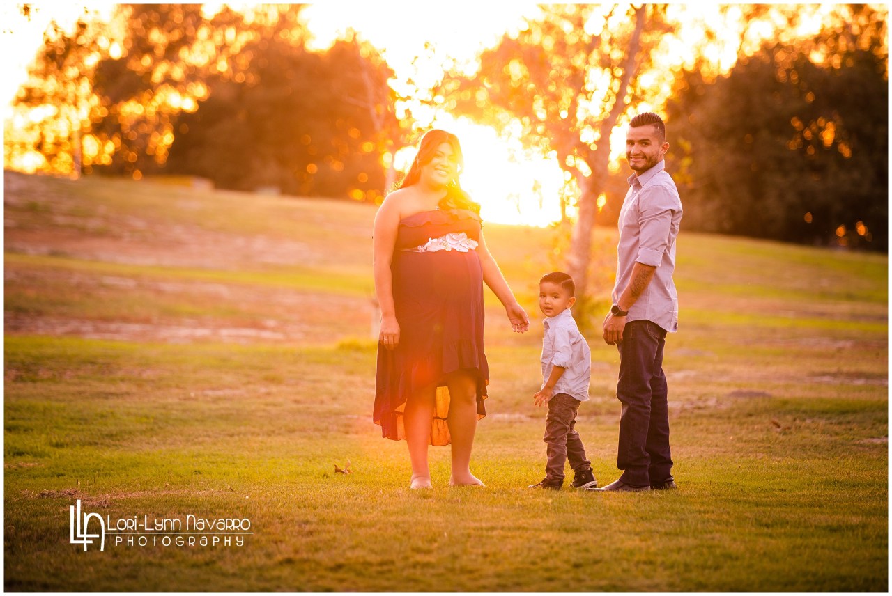 lorilynnnavarro-com_1182