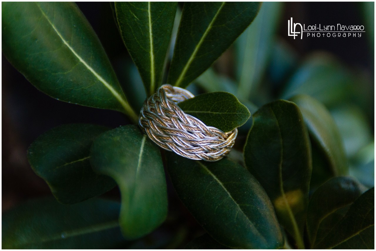 lorilynnnavarro-com_1477