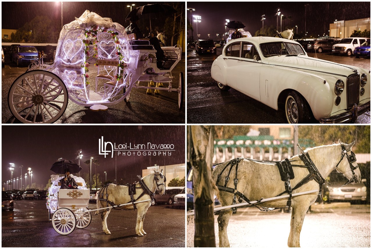 lorilynnnavarro-com_1607